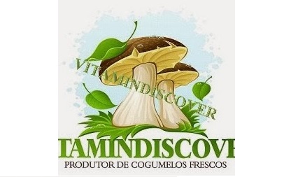 vitamindiscover